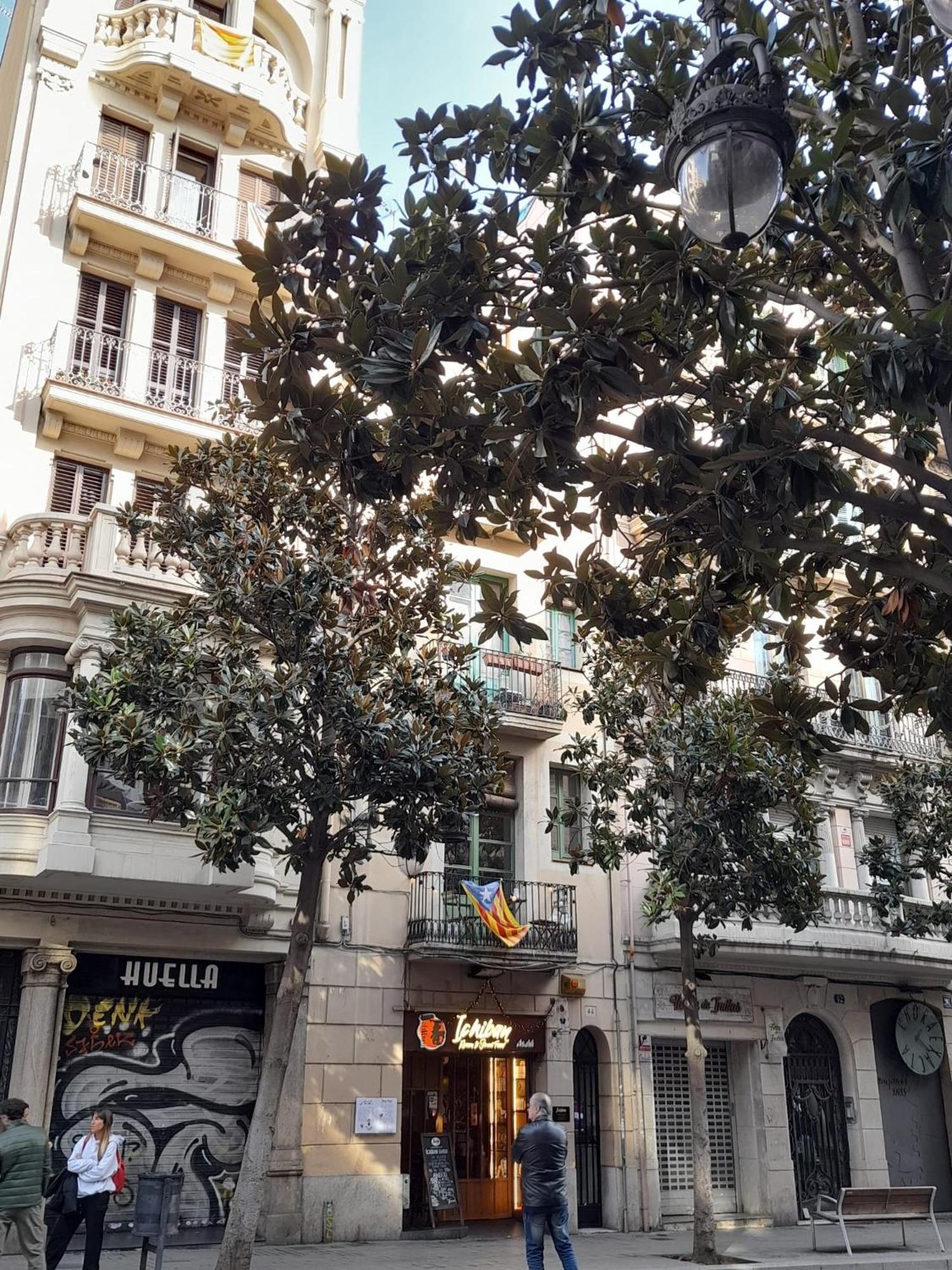 ברצלונה La Casa De Laura Nisia B&B מראה חיצוני תמונה